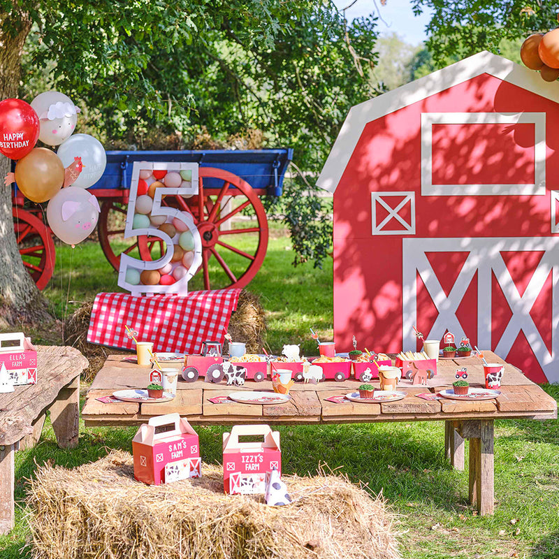 kinderfeestje met boerderij thema