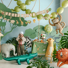 Collection image for: Kinderfeestje populair