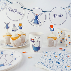 Collection image for: Welkom thuis - Nijntje