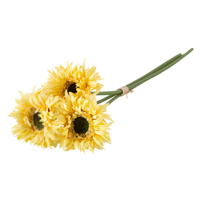 gele gerbera's