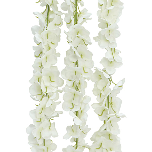 witte hortensiabloemen