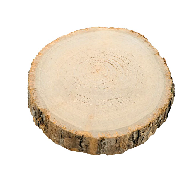 Boomstam Hout - Klein