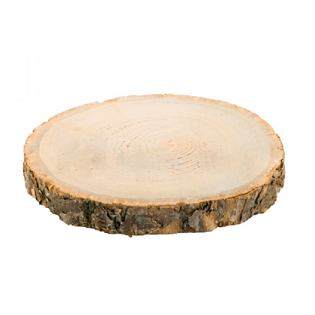 Boomstam Hout - Middel