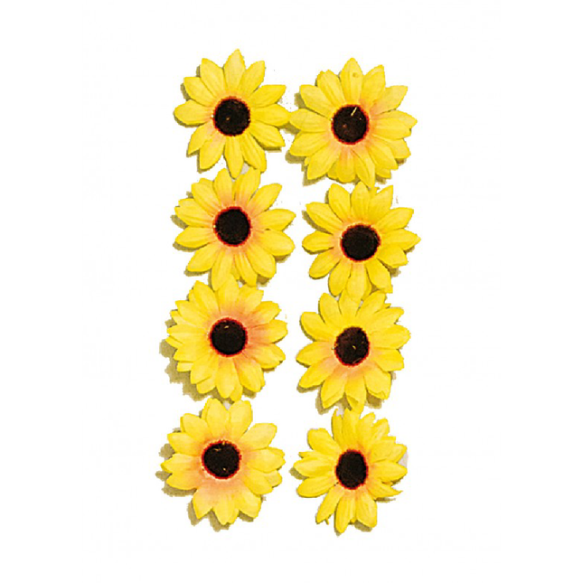Gele zonnebloemen met een zwarte binnenkant