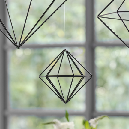 Zwarte metalen hangers hangen voor een raam met zwarte kozijnen boven een wit met groene plant