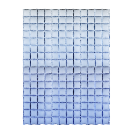 blauwe ballonnen backdrop