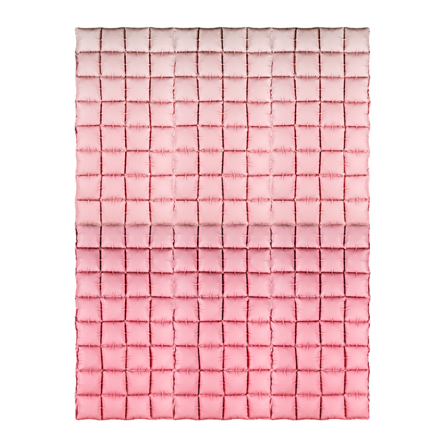 Roze ballonnen backdrop