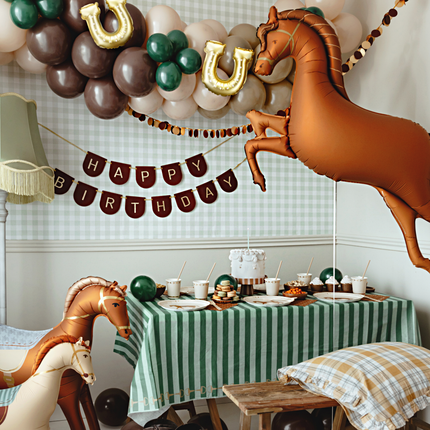 paarden kinderfeestje