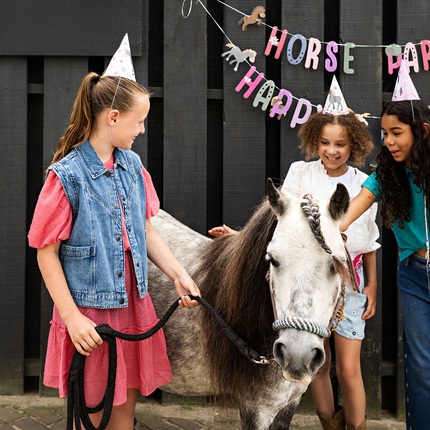 kinderfeestje paarden thema