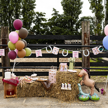 paarden kinderfeestje