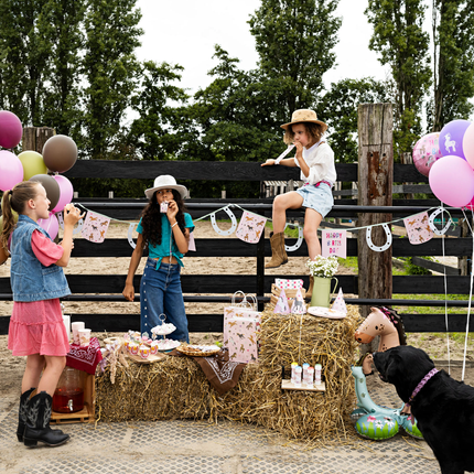 kinderfeestje paarden thema