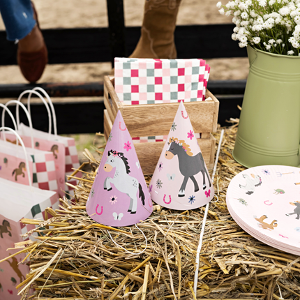 feesthoedjes paarden