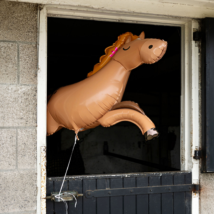 ballon paard