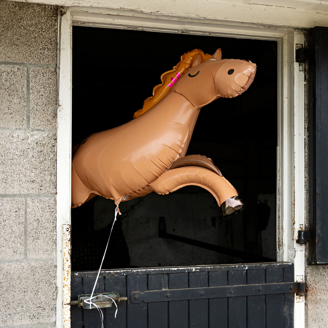 ballon paard