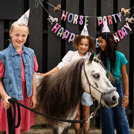 kinderfeestje paarden thema