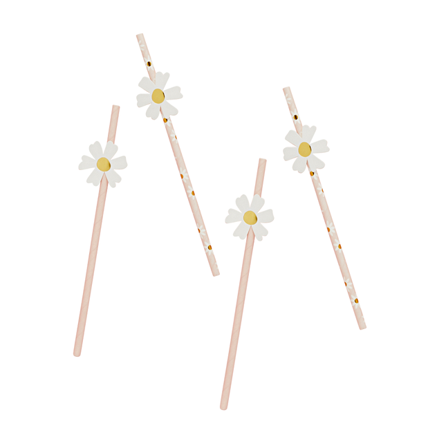 Roze rietjes met madeliefjes