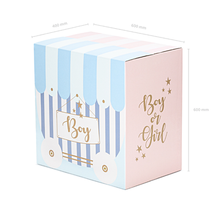 Gender Reveal Box