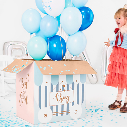 Gender Reveal Box