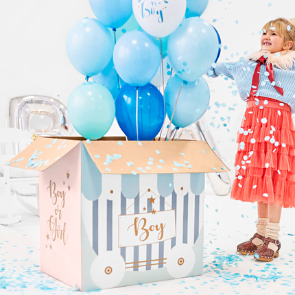Gender Reveal Box