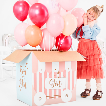 Gender Reveal Box