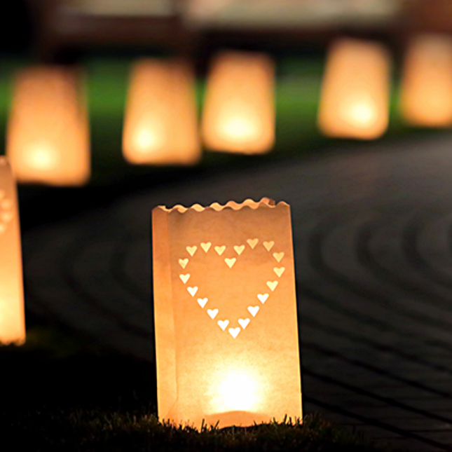 lampion hart