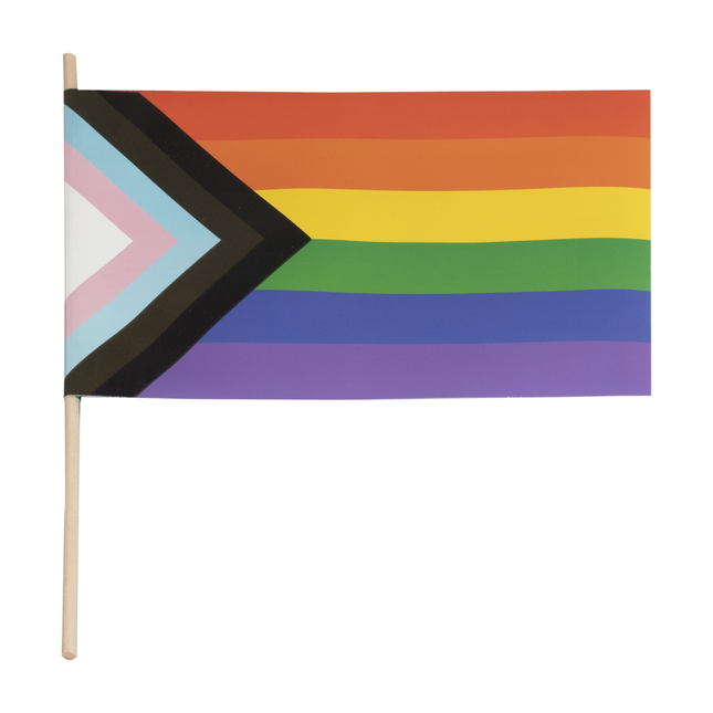 regenboog pride vlaggetjes