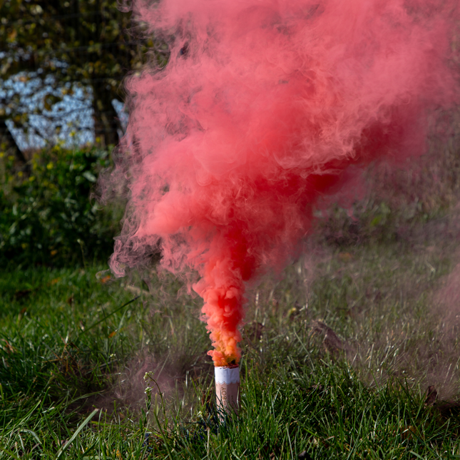 Gender Reveal - Roze