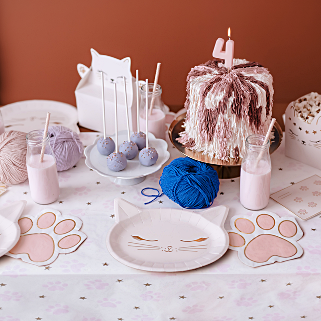feestje met katten thema