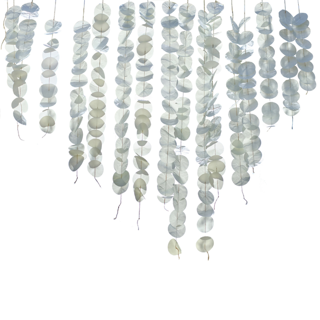 Saliegroene backdrop met rondjes