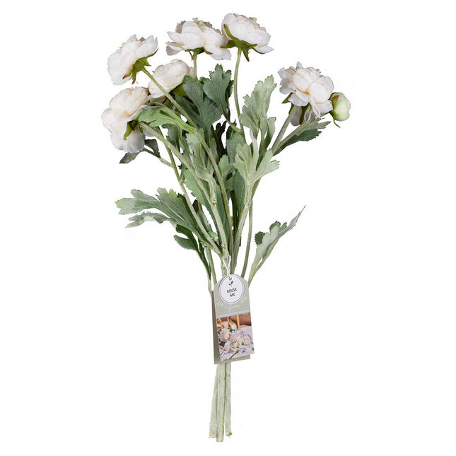 witte ranonkel stengels