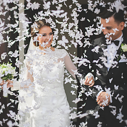 witte vlinder confetti