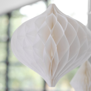 Witte honeycomb hangt voor een raam met zwarte kozijnen