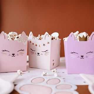 popcorn bakjes in het paars, roze en creme met katten erop